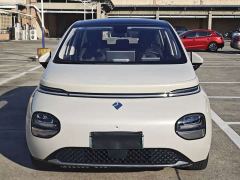 Baojun Yunduo 460 Plus Operations Exclusive Edition - photo 2