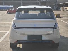 Baojun Yunduo 460 Plus Operations Exclusive Edition - photo 6