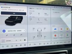 Li Auto L9 Pro - ფოტო 16
