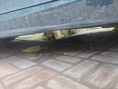 Toyota Camry 2.5G Luxury Edition - фото 11