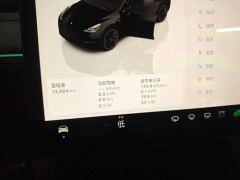 Tesla Model Y Rear-Wheel Drive - ფოტო 11