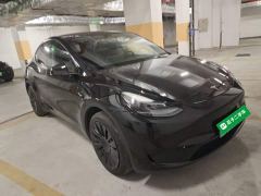 Tesla Model Y Rear-Wheel Drive - ფოტო 3