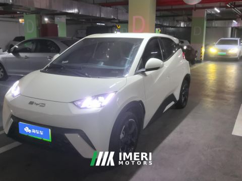 2023 BYD Seagull 305km Edition - car from China