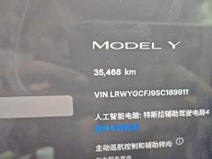 Tesla Model Y Rear-Wheel Drive - ფოტო 8