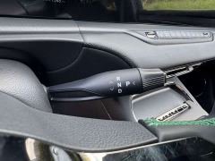 Voyah Lantu FREE 318 318km RWD World Tour Edition - photo 10