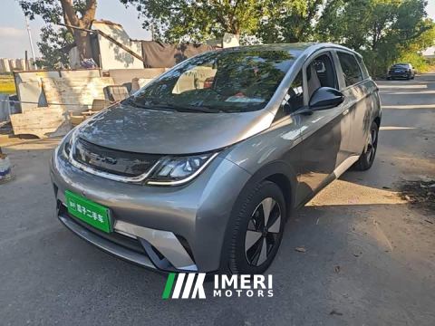 2023 BYD Dolphin 420km Freedom Edition - ავტომობილი ჩინეთიდან