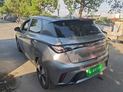 BYD Dolphin 420km Freedom Edition - фото 4
