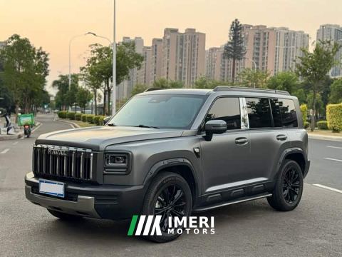 2025 Haval Manlong Gasoline 2.0T 4WD Ultra - car from China