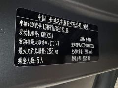 Haval Manlong Gasoline 2.0T 4WD Ultra - photo 9