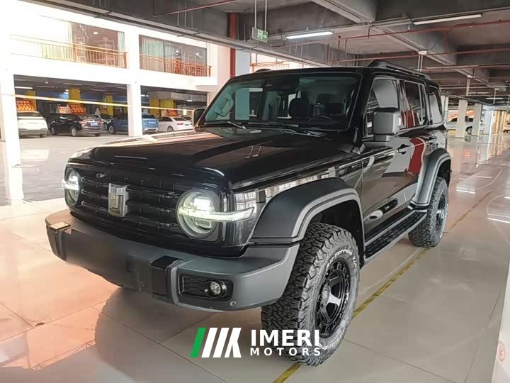 Tank 300 Off-Road Edition 2.0T Conqueror - ავტომობილი ჩინეთიდან