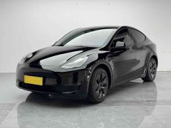 Tesla Model Y Long Range All-Wheel Drive - ფოტო 1