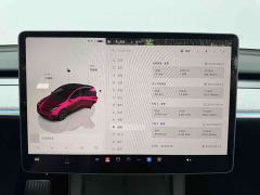 Tesla Model Y Long Range All-Wheel Drive - ფოტო 11