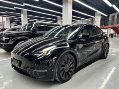 Tesla Model Y Performance All-Wheel Drive - photo 1