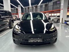 Tesla Model Y Performance All-Wheel Drive - photo 2