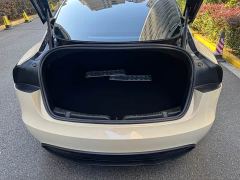 Tesla Model 3 Rear-Wheel Drive - ფოტო 17
