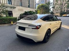Tesla Model 3 Rear-Wheel Drive - ფოტო 8
