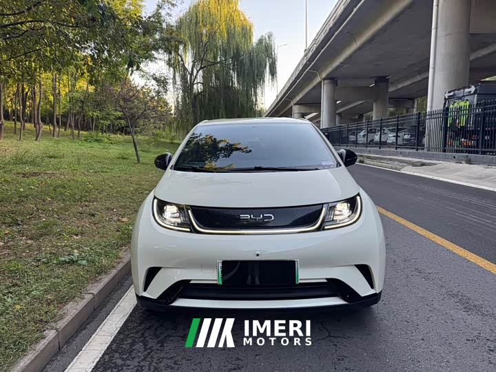 BYD Dolphin Glory Edition 420km Freedom Version - ავტომობილი ჩინეთიდან