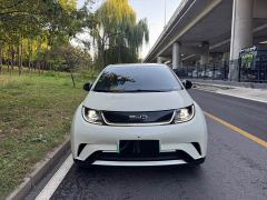 BYD Dolphin Glory Edition 420km Freedom Version - ფოტო 1