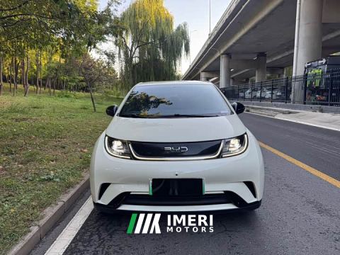 2024 BYD Dolphin Glory Edition 420km Freedom Version - ავტომობილი ჩინეთიდან