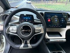 BYD Dolphin Glory Edition 420km Freedom Version - ფოტო 11