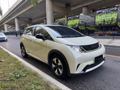 BYD Dolphin Glory Edition 420km Freedom Version - ფოტო 2