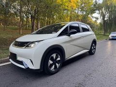 BYD Dolphin Glory Edition 420km Freedom Version - ფოტო 3
