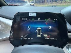 BYD Dolphin Glory Edition 420km Freedom Version - ფოტო 8