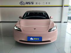 Tesla Model 3 634km Rear-Wheel Drive Edition - фото 3
