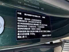 Li Auto L9 Max - ფოტო 12