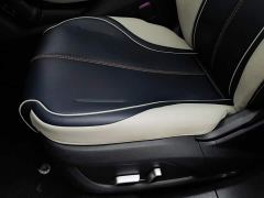 BYD Qin PLUS EV 500KM Luxury - ფოტო 20
