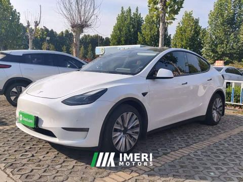 2021 Tesla Model Y Standard Range RWD - ავტომობილი ჩინეთიდან