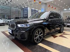BMW X5 (Imported) xDrive40i Luxury M Sport Package - фото 1