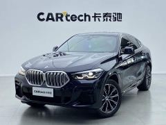 BMW X6 xDrive30i M Sport Package - ფოტო 13