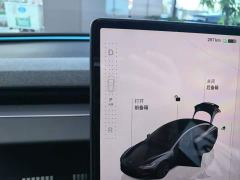 Tesla Model 3 Rear-Wheel Drive - ფოტო 13
