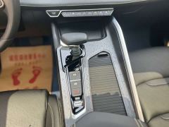Geely Xingrui 1.5TD Kunlun Edition - ფოტო 20