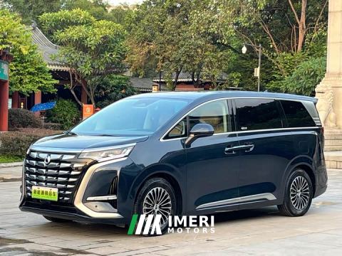 2023 Denza D9 DM-i 1040 Premium - ავტომობილი ჩინეთიდან