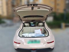 ORA Good Cat 401km Standard Range Luxury LFP - фото 9