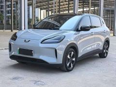 Wuling Binguo PLUS 401km 5-Seater - ფოტო 1