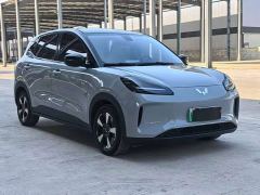Wuling Binguo PLUS 401km 5-Seater - ფოტო 3