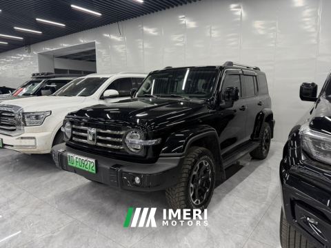 2025 Tank 300 New Energy 2.0T Hi4-T 36.7kWh - автомобиль из Китая