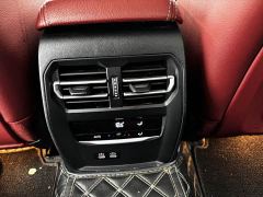 BMW 3 Series 320Li M Sport Package - ფოტო 11