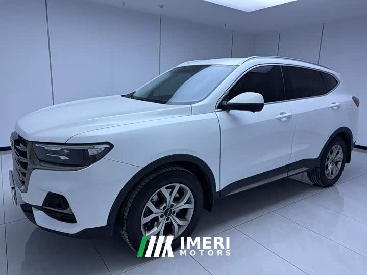 Haval H6 National Trend 1.5T Automatic Champion Edition - ავტომობილი ჩინეთიდან