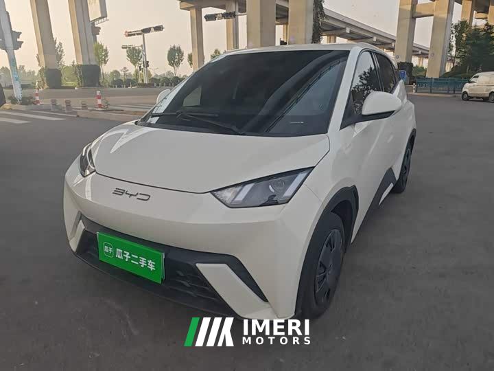 BYD Seagull Vitality Edition - car from China