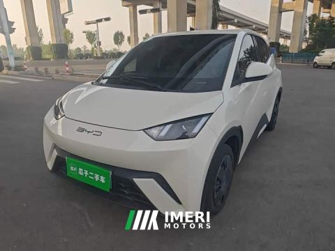 2024 BYD Seagull Vitality Edition - car from China
