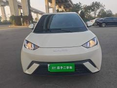 BYD Seagull Vitality Edition - photo 2