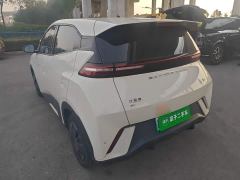 BYD Seagull Vitality Edition - photo 4