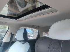Roewe D7 Plug-in Hybrid 1.5L 125km World Champion Flagship Edition - photo 15