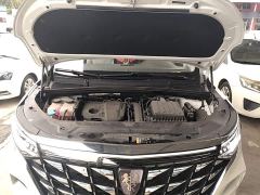 SAIC Roewe iMAX8 New Energy 1.5T DMH Land Respect Premium Edition - photo 19