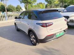 Geely Star Wish 480km Explorer Edition - ფოტო 5