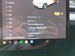 Tesla Model Y Rear-Wheel Drive - photo 11